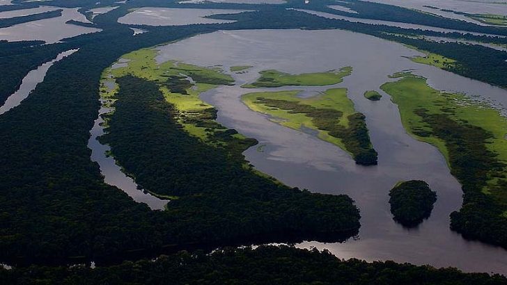Amazonas, el pulmón verde del planeta