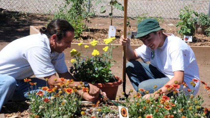 Herramientas básicas para trabajar en el jardín