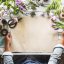 Por qué comprar flores naturales